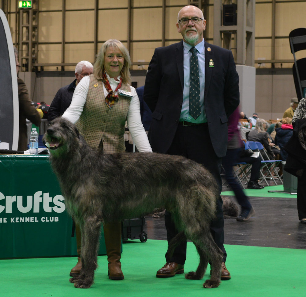 Dog CC Crufts 2024